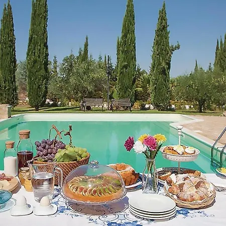 Pet Friendly In With Wifi Holiday home *